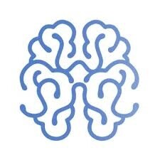The Neurosurgical Atlas