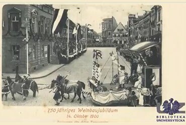 Winobranie na starych pocztówkach